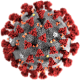 Fig. 2: Coronavirus, spike protein in red