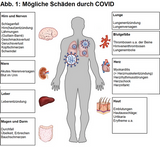 Schäden durch COVID