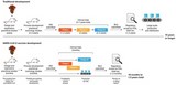 Diagram 1: Steps in the development of a vaccine: traditional and SARS-CoV-2 vaccine